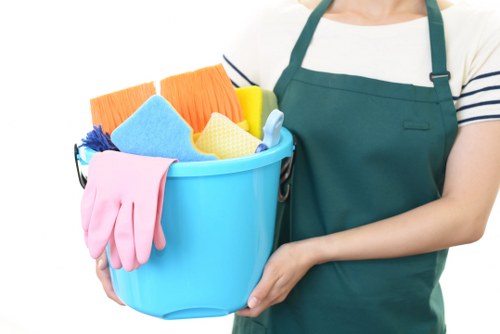 Professional oven cleaning in Hounslow with a spotless kitchen appliance