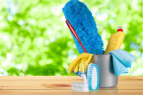 Professional one off cleaning in a modern living room