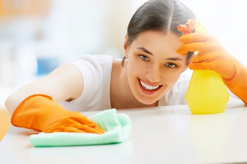 Kitchen appliance restoration through oven cleaning in Hounslow