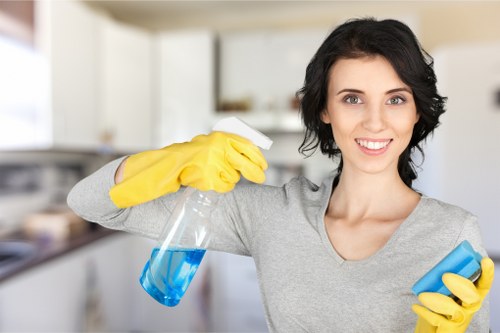 Vacate cleaning of a modern apartment living room