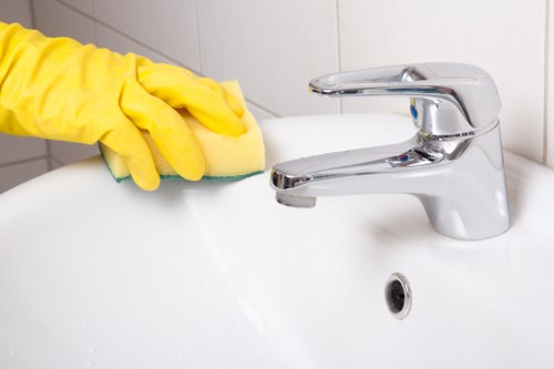 Cleaning supplies used for routine household maintenance