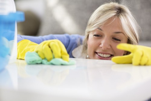Professional end of lease cleaning in a kitchen