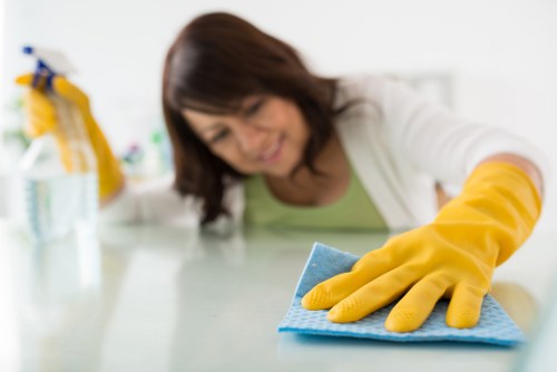 Professional domestic cleaning in a bright living room