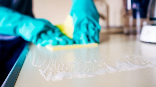 Eco-friendly house cleaning supplies arranged on a counter