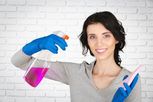 Vacuuming and deep carpet cleaning maintenance schedule illustration