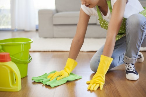 Eco-friendly domestic cleaning tools and supplies